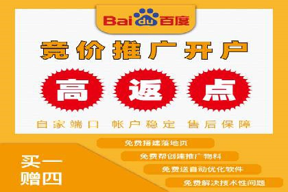 SEM推广公司案例：助力企业实现品牌价值提升