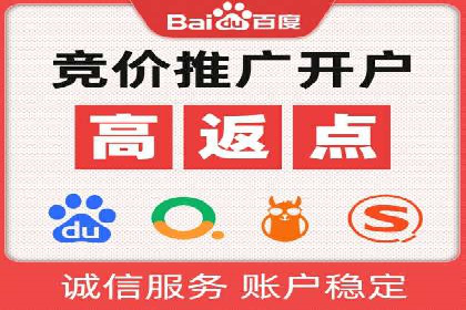 SEM竞价案例分析：提升广告投放效果